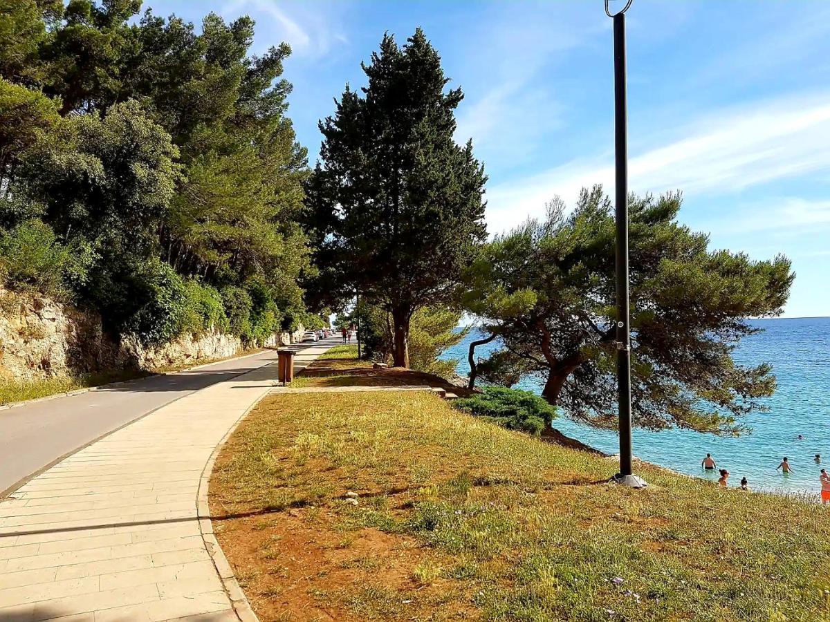 Apartment Mon Cheri-Located In A Quiet Neighbourhood Near Beaches Free Parking PUY Eksteriør bilde